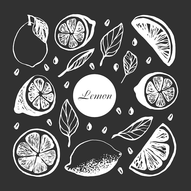 Cute hand drawn set with slices lemon with leaves and seeds for menu or recipe