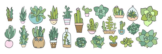 Vector cute handdrawn illustrations of various potted succulents and cacti perfect for home decor