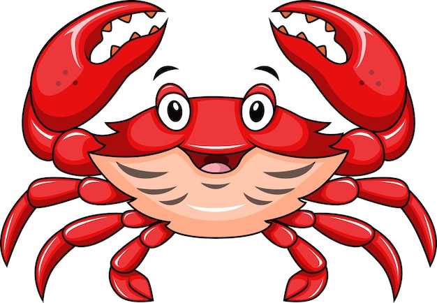 Cute happy crab on white background