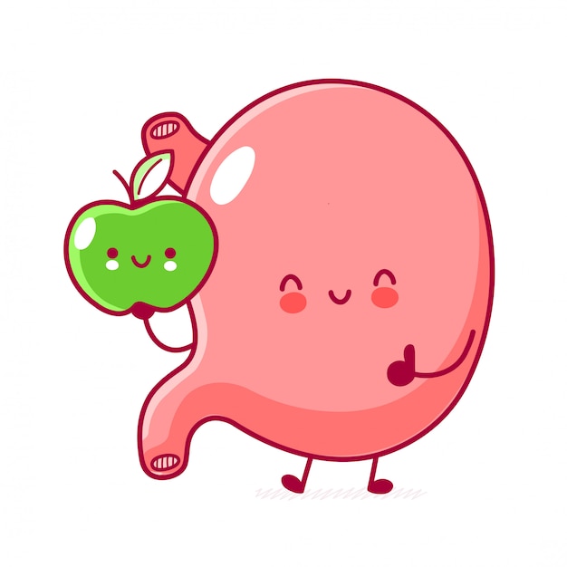 Cute happy funny stomach organ with apple