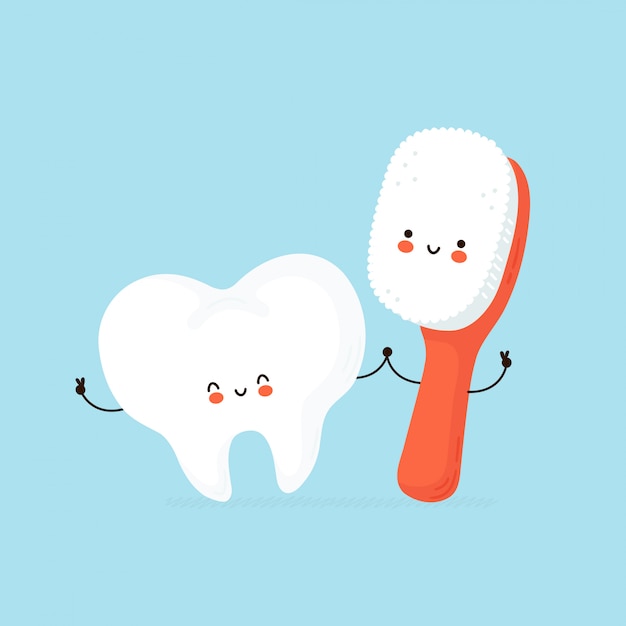 Cute happy human tooth and toothbrush character.