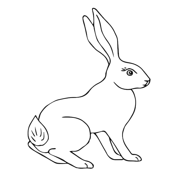 Cute hare rabbit sketch vector illustration black outline