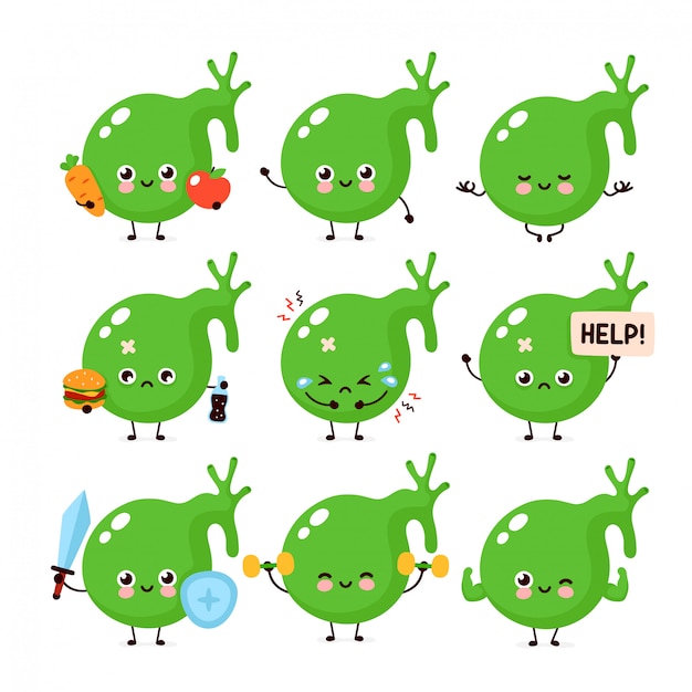 Cute healthy happy and sick sad unhealthy gallbladder organ character set