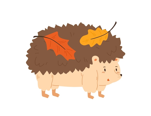 Cute hedgehog carrying autumn colorful leaves vector flat illustration. Funny forest animal with leaf on needle back isolated on white. Adorable childish character standing with fall foliage.