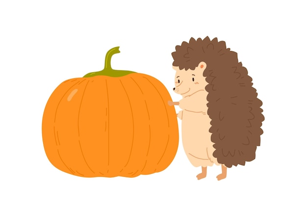 Cute hedgehog holding huge ripe pumpkin vector flat illustration. Funny forest animal standing autumn seasonal harvest isolated on white. Adorable childish character with fall orange vegetable.