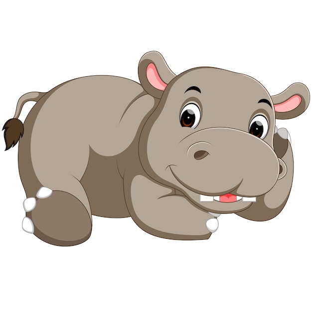 Cute hippo cartoon