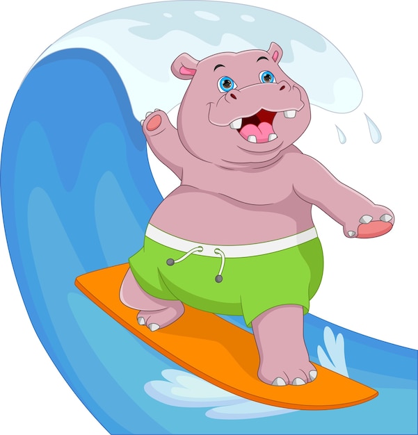 cute hippo surfing cartoon on white background