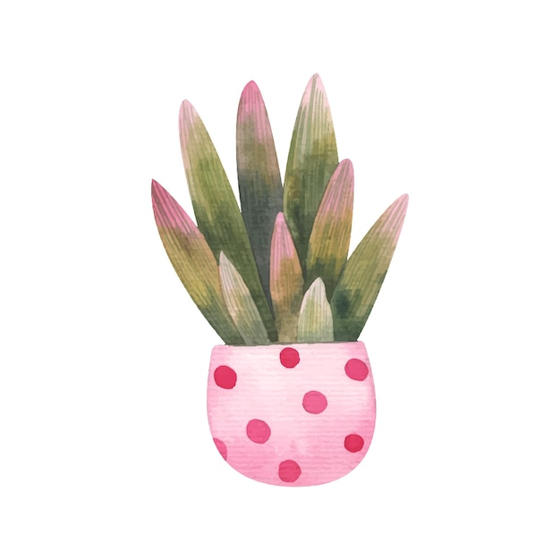 cute home plant, potted flowers and plants, cute watercolor illustration