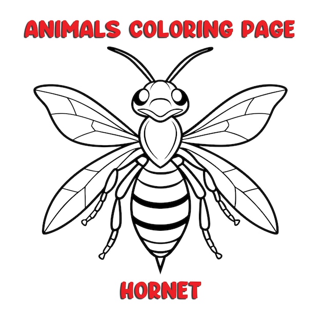 cute HORNET outline art illustration coloring page book for kids