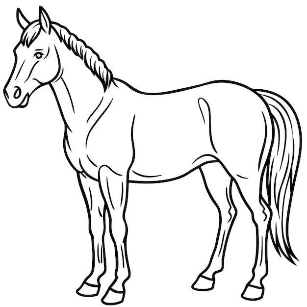 Vector cute horse animal cartoon style vector illustration in highquality line art on white backgroud