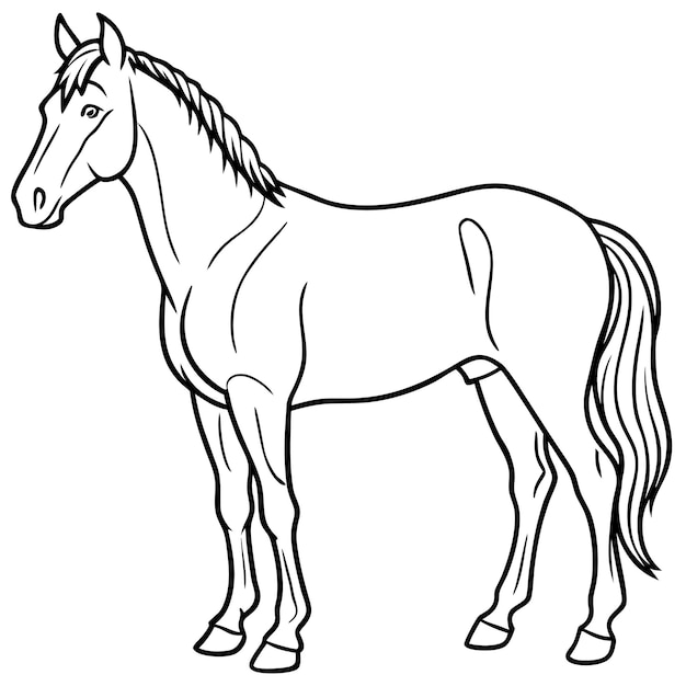 Vector cute horse animal cartoon style vector illustration in highquality line art on white backgroud