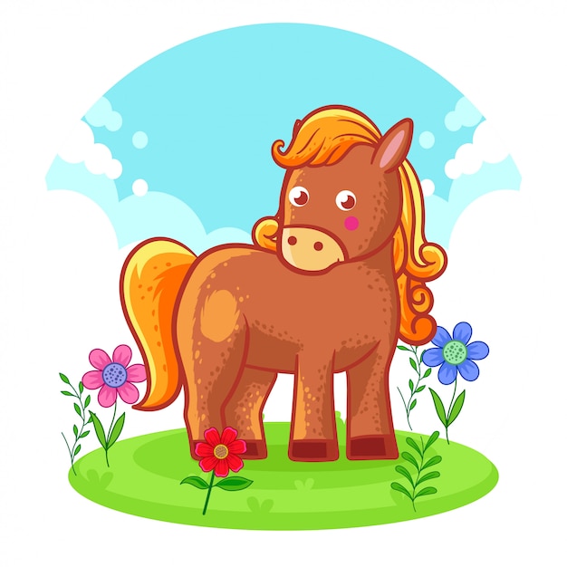 Cute horse standing on a flower meadow. 