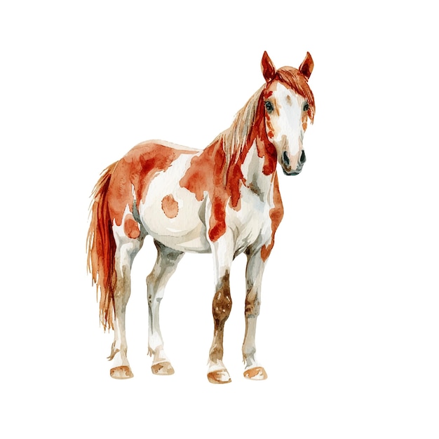 cute horse vector illustration in watercolour style