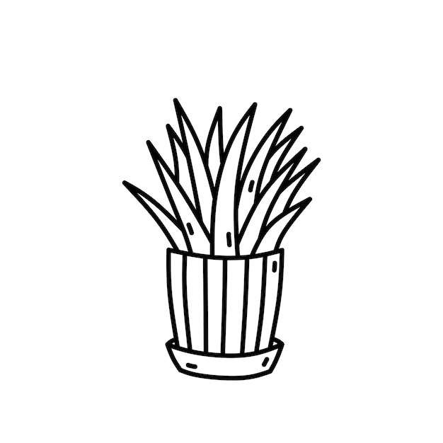 Cute house plant in a flower pot isolated on white background hand drawn doodle illustration