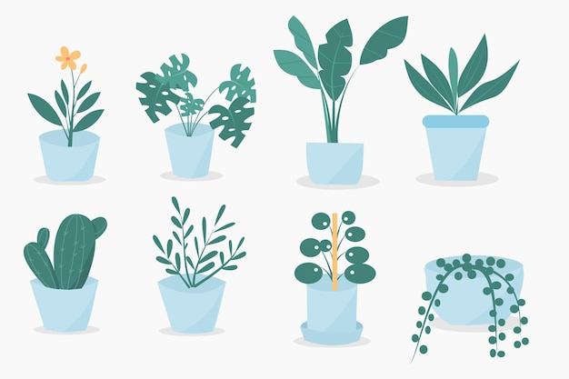 Cute House Plant Vector Illustration