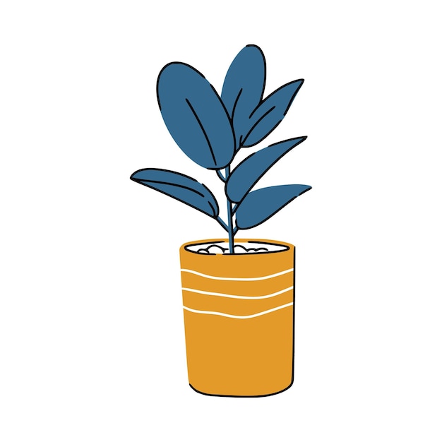 Cute houseplant ficus in modern pot for scandi interior