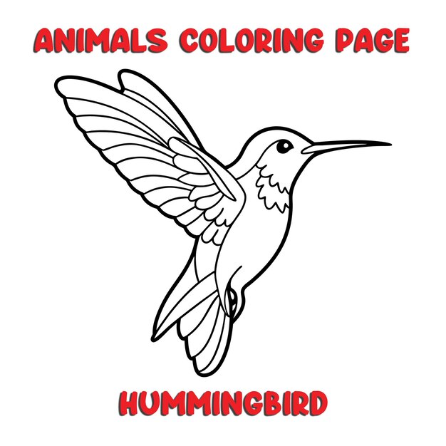 Vector cute hummingbird outline art illustration coloring page book for kids