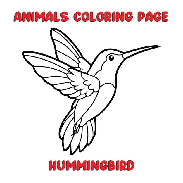 Vector cute hummingbird outline art illustration coloring page book for kids