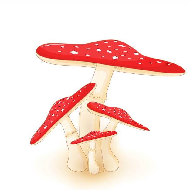 Cute  illustration of mushroom on a white background