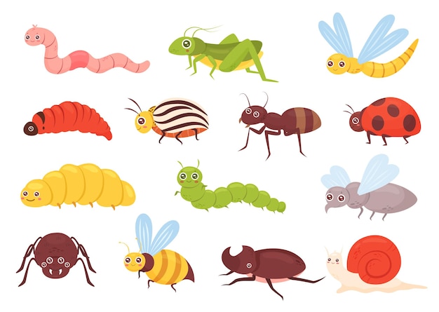 Cute insects set colorful funny insects grasshopper dragonfly worm spider fly ladybug