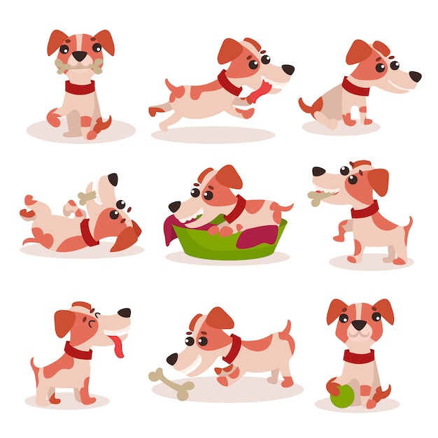 Cute jack russell terrier characters set, funny dog in different poses and situations   Illustrations