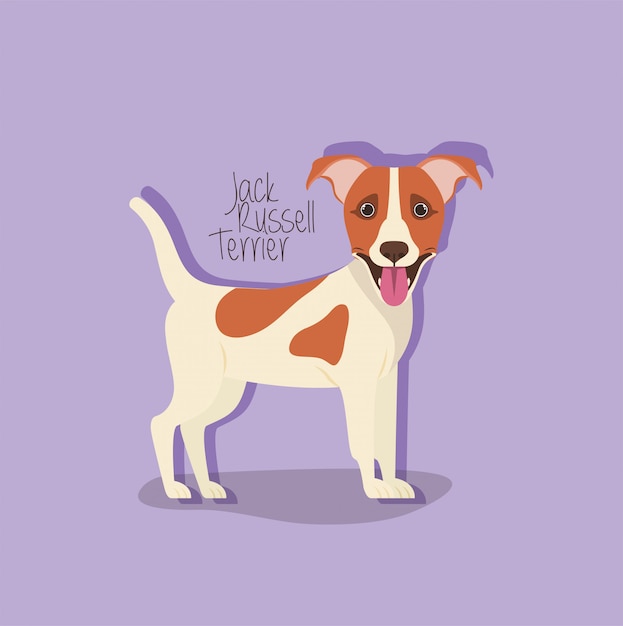 Cute jack russell terrier dog pet character