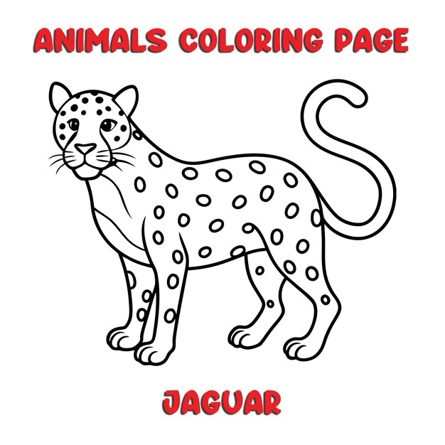 Vector cute jaguar outline art illustration coloring page book for kids