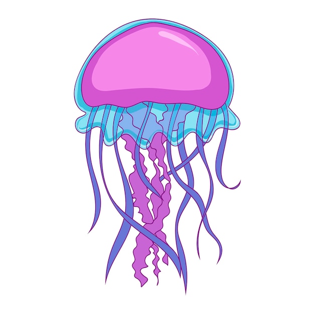 Cute jellyfish cartoon character Sea animal vector illustration Medusa vector illustration