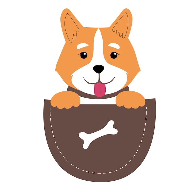 Cute joyful corgi with paws and tongue in a pocket Vector character in a flat cute style It is perfect for the design of a tshirt a poster or for advertising pet