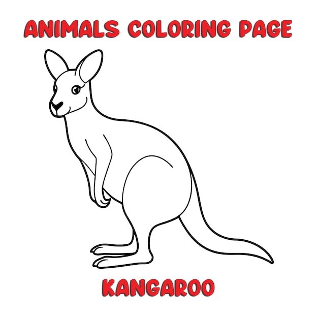 cute KANGAROO outline art illustration coloring page book for kids