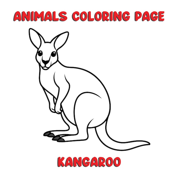 cute KANGAROO outline art illustration coloring page book for kids