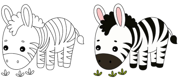 Vector cute kawaii zebra is grazing cartoon character coloring page vector illustration