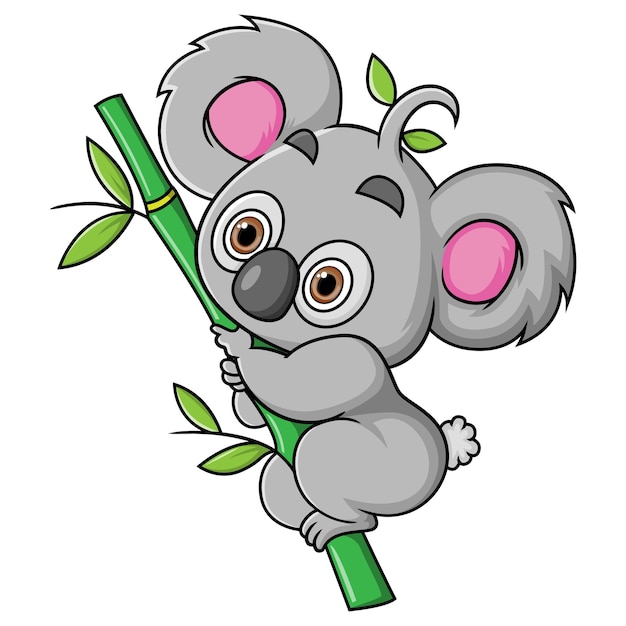 The cute koala is climbing the bamboo tree to get food