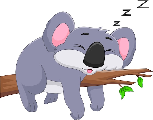 cute koala sleeping on a tree