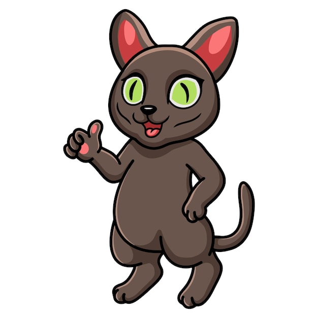 Cute korat cat cartoon giving thumbs up