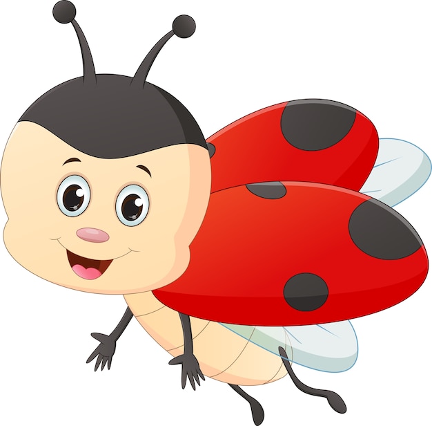 cute ladybug cartoon