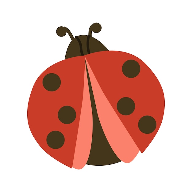 Cute ladybug or ladybird on red and black color