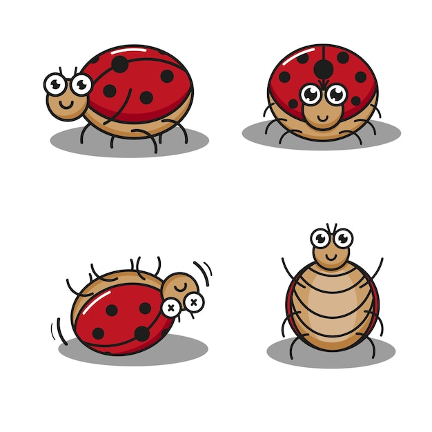 cute ladybug set with movement variations