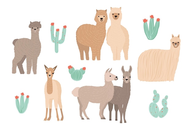 Cute Lama, Alpaca and cactuses set. Hand drawn cartoon colorful vector illustration.