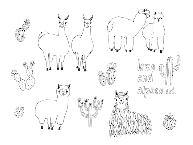 Cute Lama, Alpaca and cactuses set. Hand drawn illustration