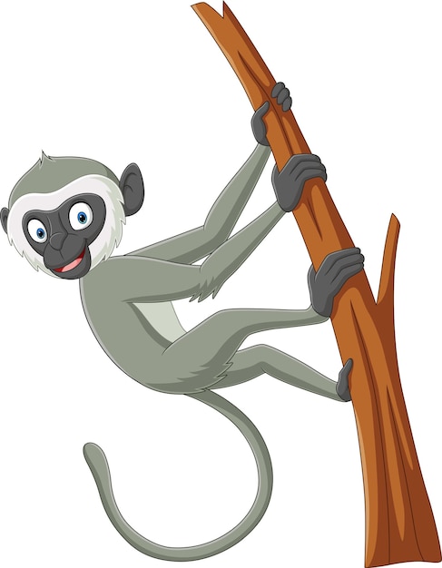 Cute langur monkey cartoon on tree branch