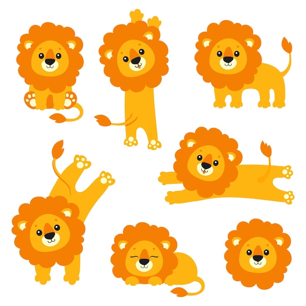 Cute lion set Wild animal