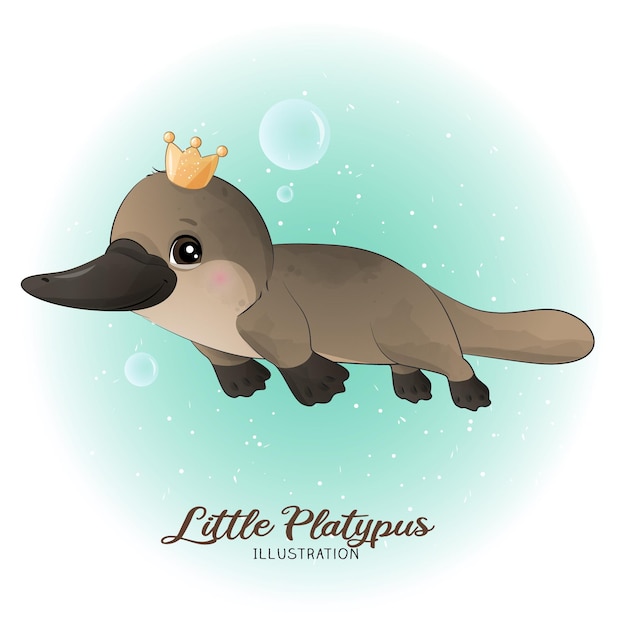 Vector cute litter platypus with watercolor illustration