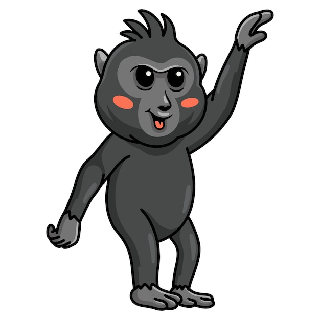 Cute little crested black macaque cartoon