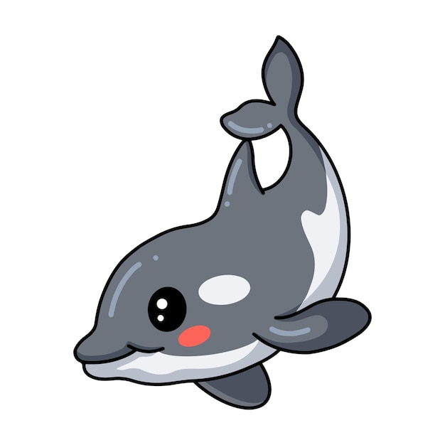 Vector cute little killer whale cartoon