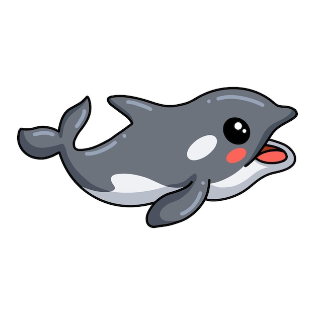 Cute little killer whale cartoon