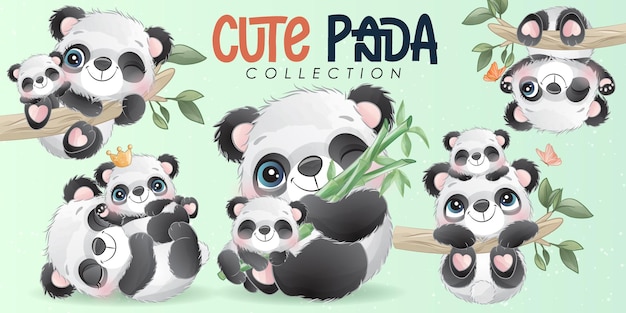 Cute little panda with watercolor illustration set