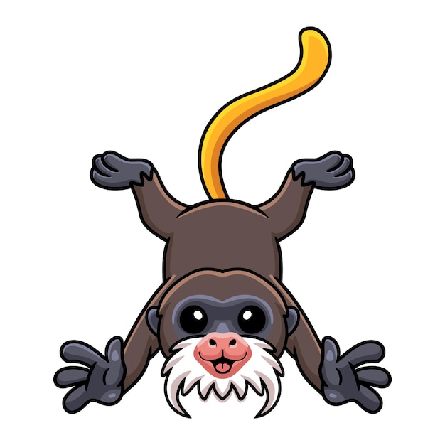 Cute little tamarin monkey cartoon posing