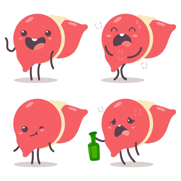 Cute liver vector cartoon characters set isolated.