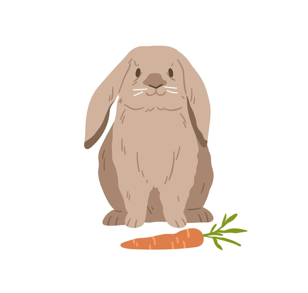 Cute lop rabbit. Happy bunny sitting near carrot. Domestic animal with fluffy fur. Adorable fuzzy coney pet. Flap-eared breed of rodent. Realistic flat vector illustration isolated on white background